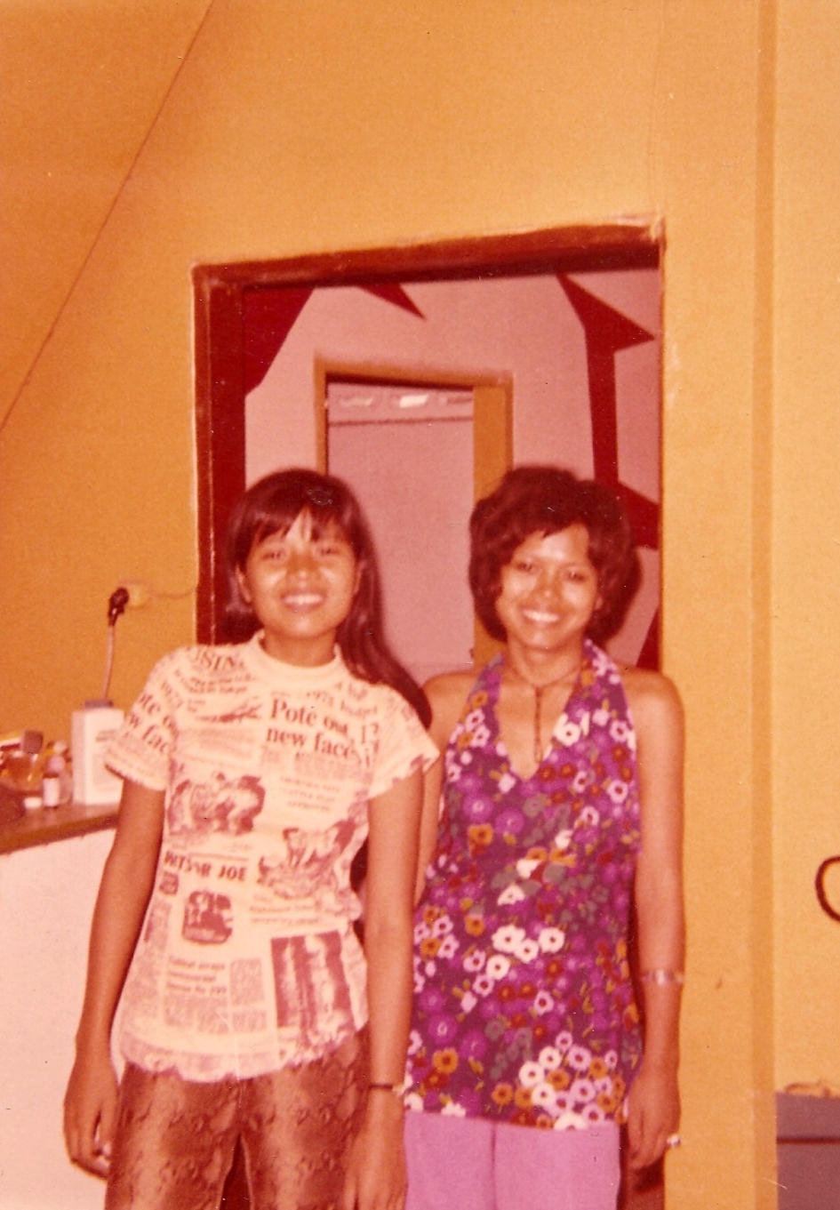 Housegirls 1973