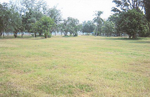 Site of SPS Hootches (600 Area) as it looks today-Oct 04 (Very Sad!)