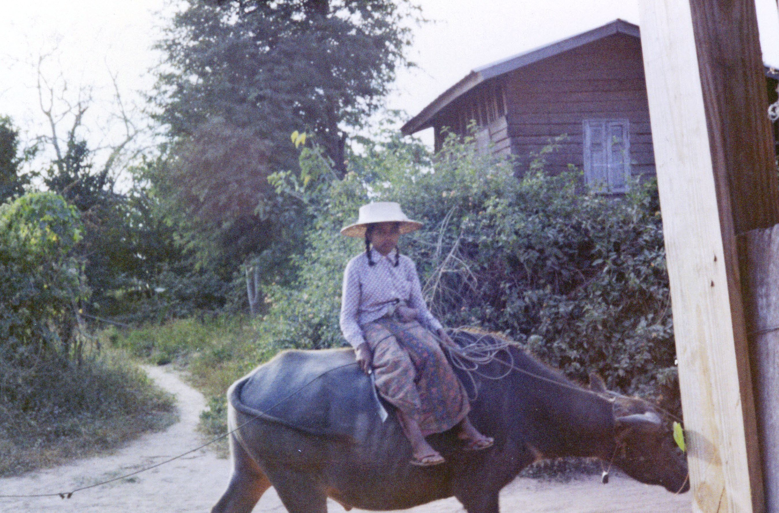 1969 Girl on water buffalo